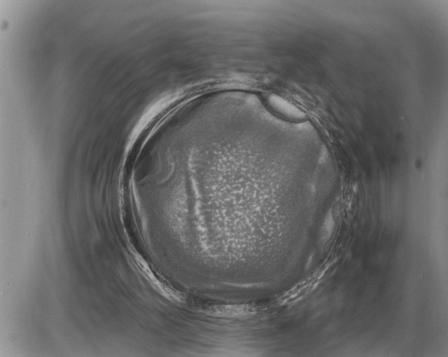 X0000085250102200703231700