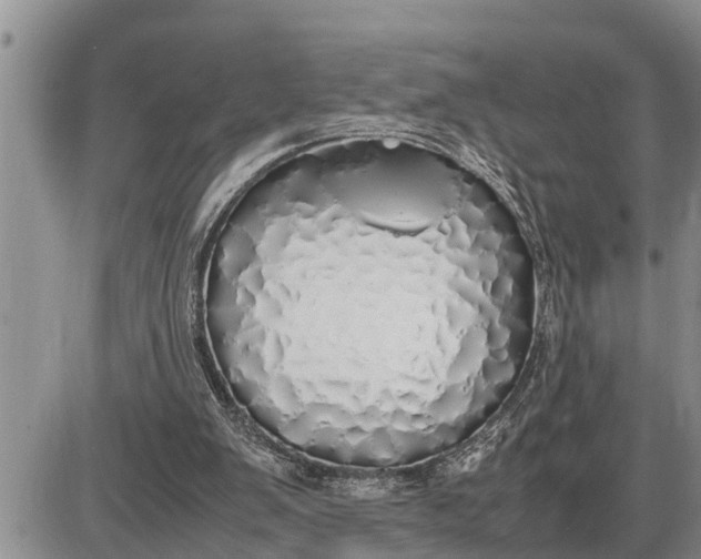 X0000085250103200703231700