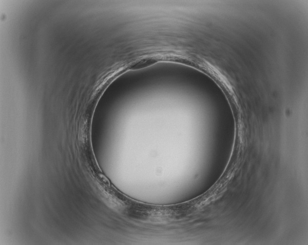 X0000085250105200703231700