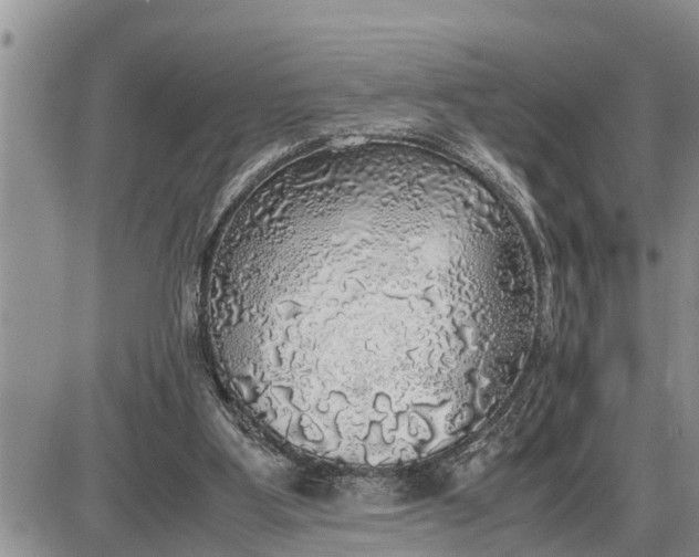 X0000085250107200703231700