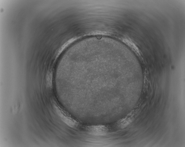 X0000085250108200703231700