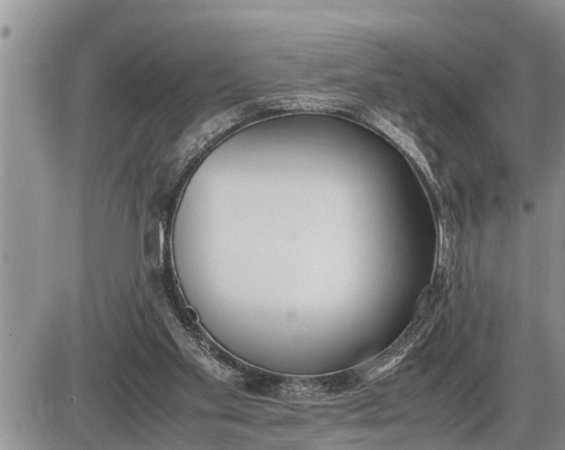 X0000085250109200703231700