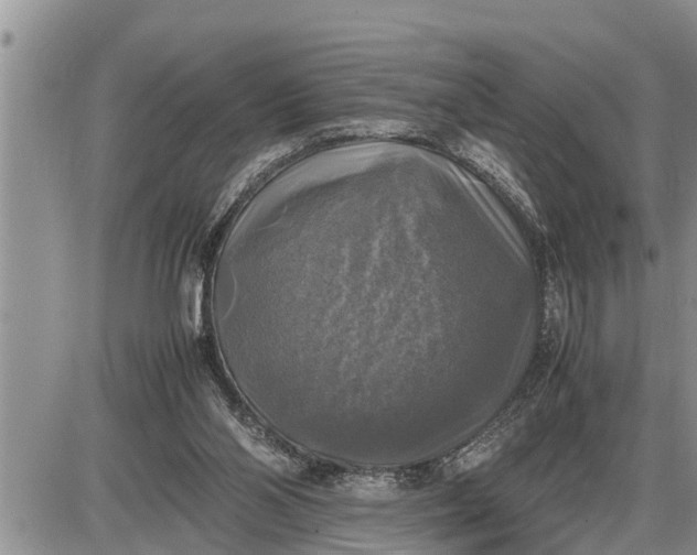 X0000085250110200703231700