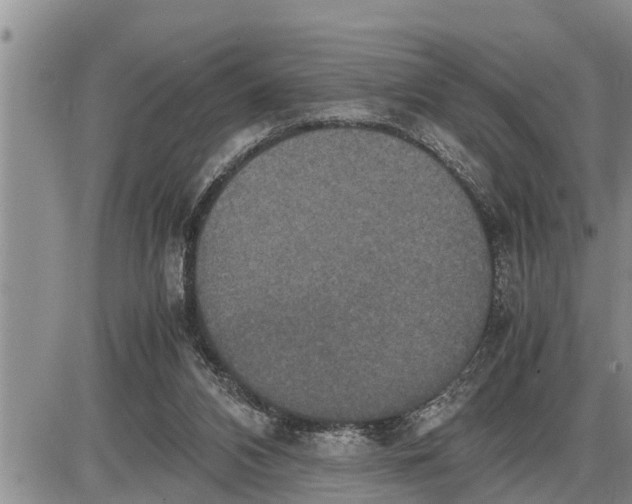 X0000085250112200703231700