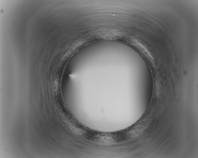 X0000085250113200703231700