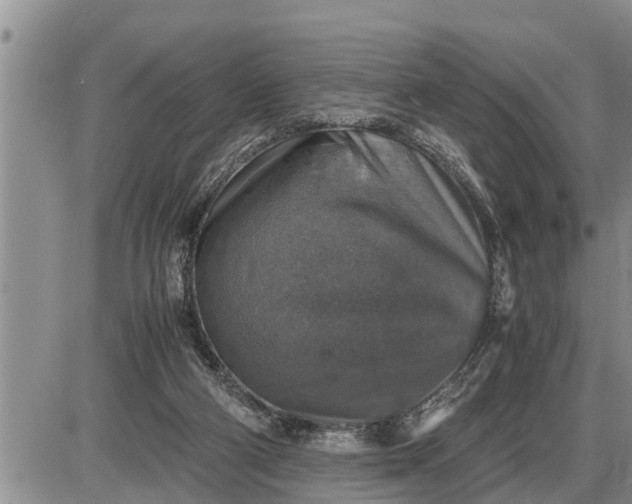 X0000085250114200703231700