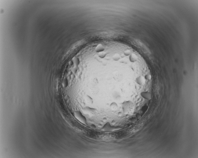 X0000085250115200703231700