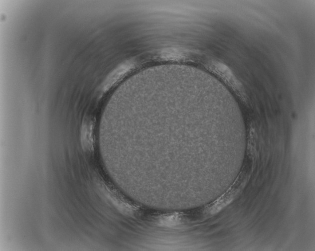 X0000085250116200703231700