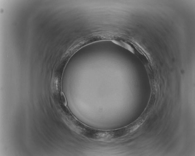 X0000085250117200703231700