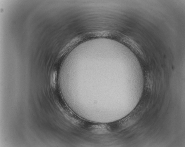 X0000085250118200703231700