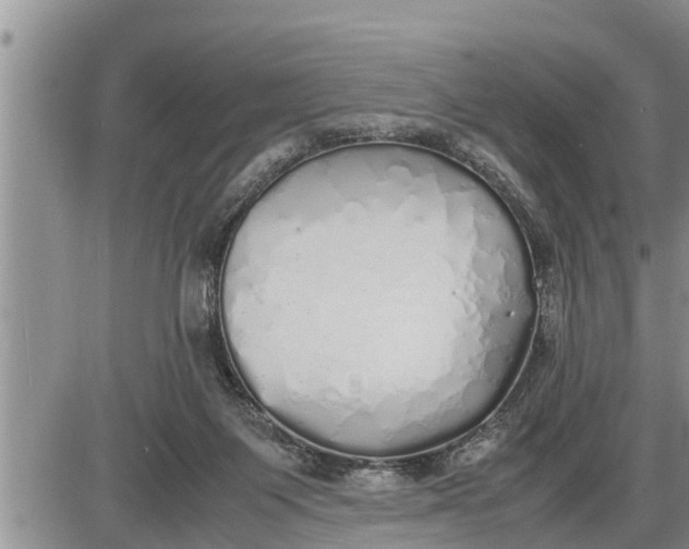 X0000085250119200703231700