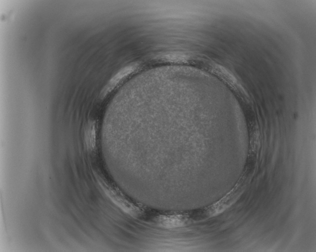 X0000085250120200703231700