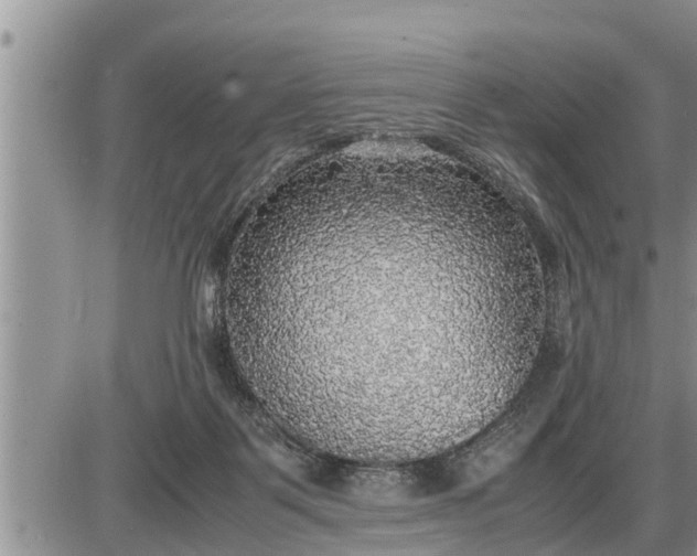 X0000085250123200703231700