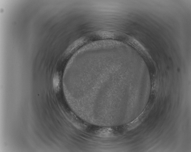 X0000085250124200703231659