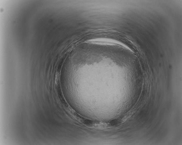 X0000085250125200703231659