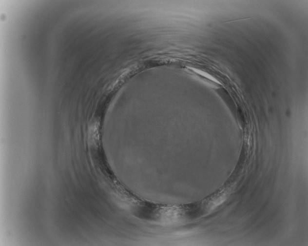 X0000085250127200703231659