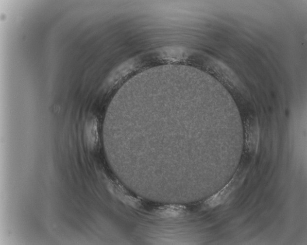 X0000085250128200703231659