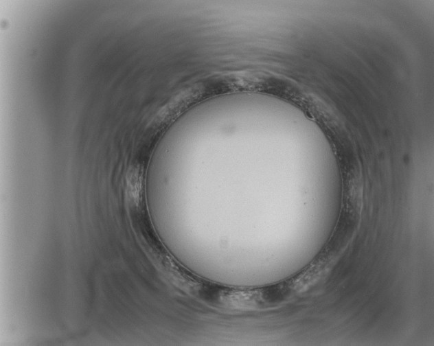 X0000085250129200703231659