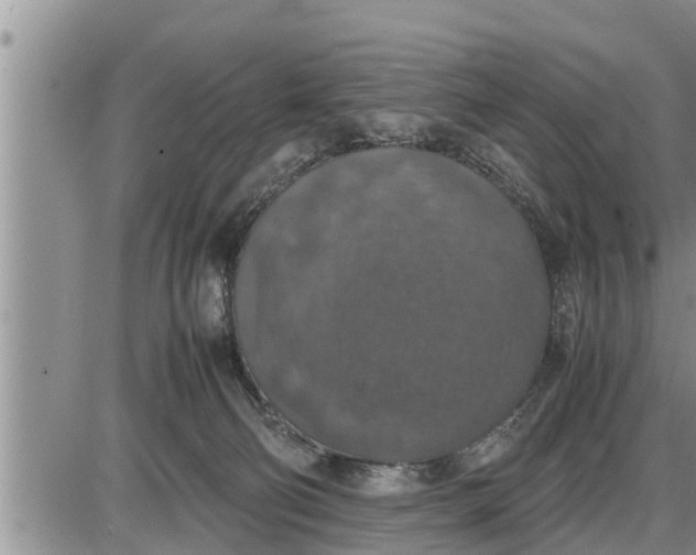 X0000085250130200703231659