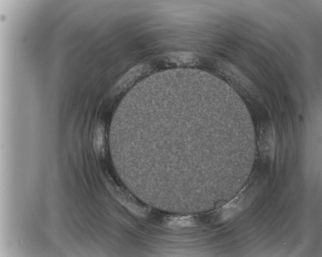 X0000085250132200703231659