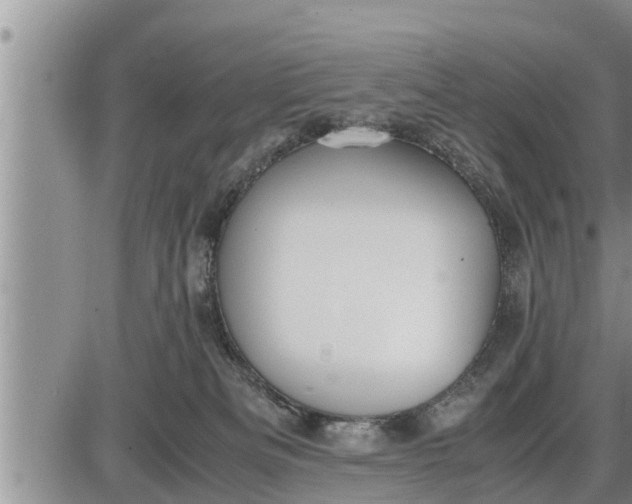 X0000085250133200703231659