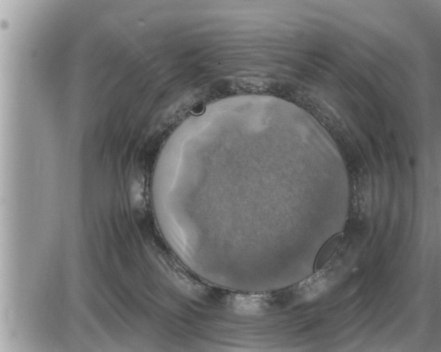 X0000085250134200703231659