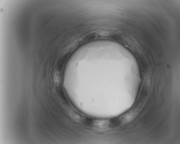 X0000085250135200703231659