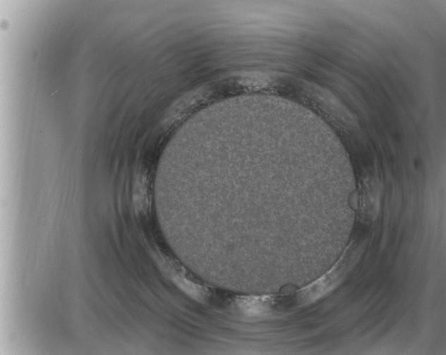 X0000085250136200703231659