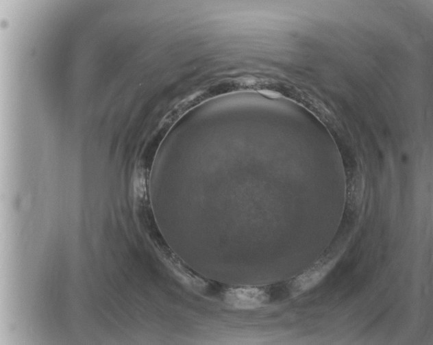 X0000085250137200703231659