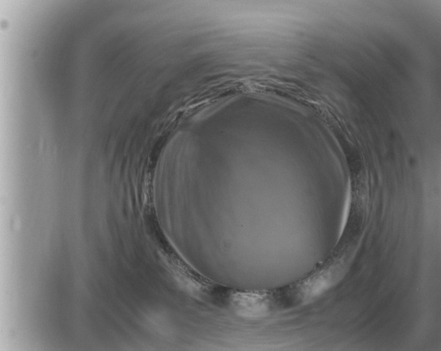 X0000085250139200703231659