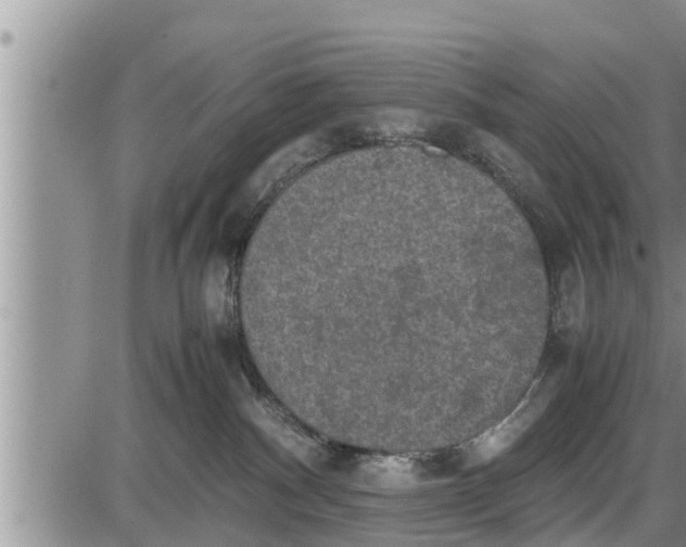 X0000085250140200703231659