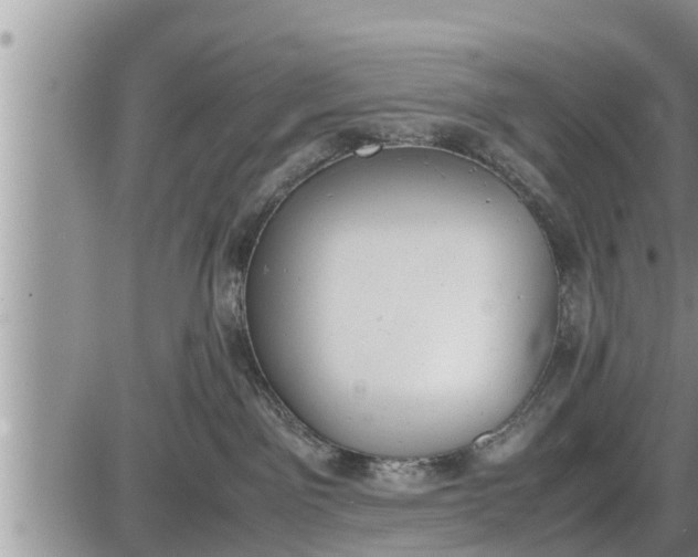 X0000085250141200703231659