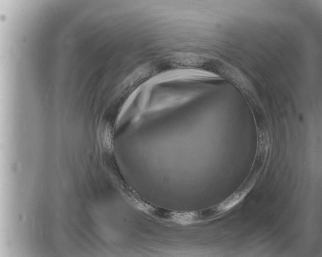 X0000085250143200703231659