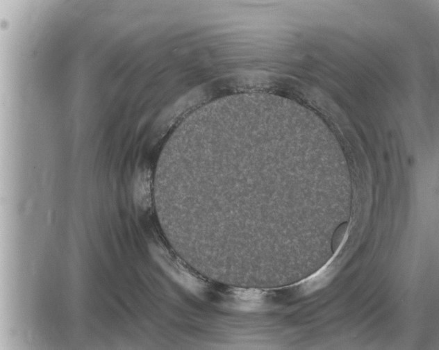 X0000085250144200703231659