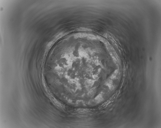 X0000085250145200703231658