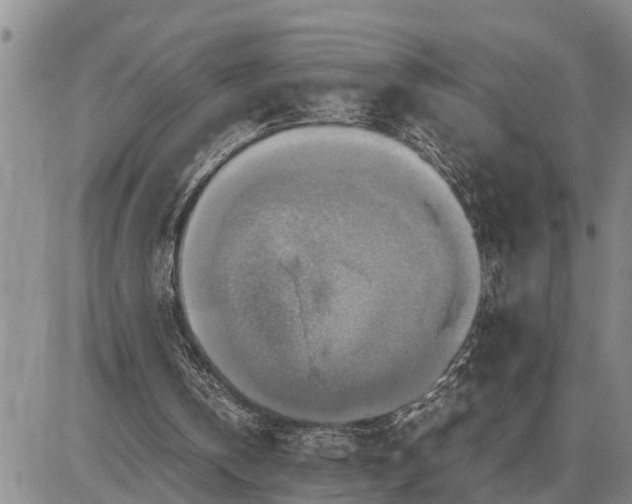 X0000085250146200703231658