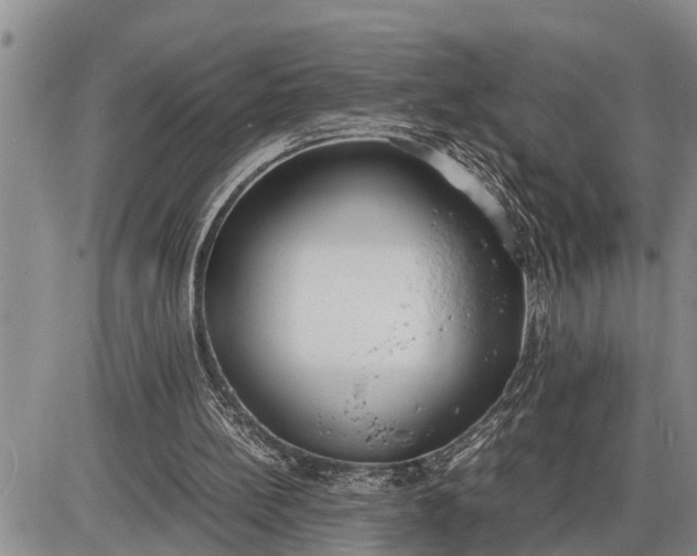 X0000085250148200703231658