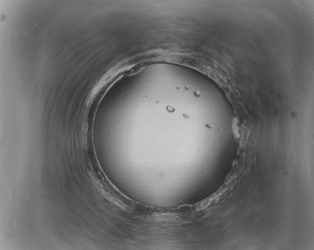 X0000085250150200703231658