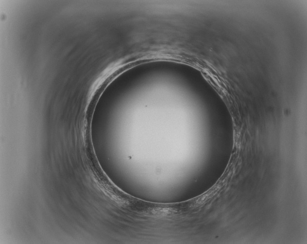 X0000085250152200703231658