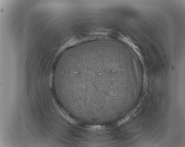 X0000085250153200703231658