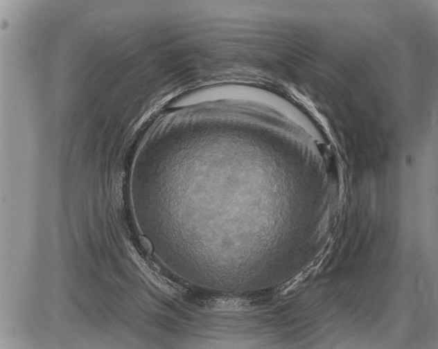 X0000085250154200703231659