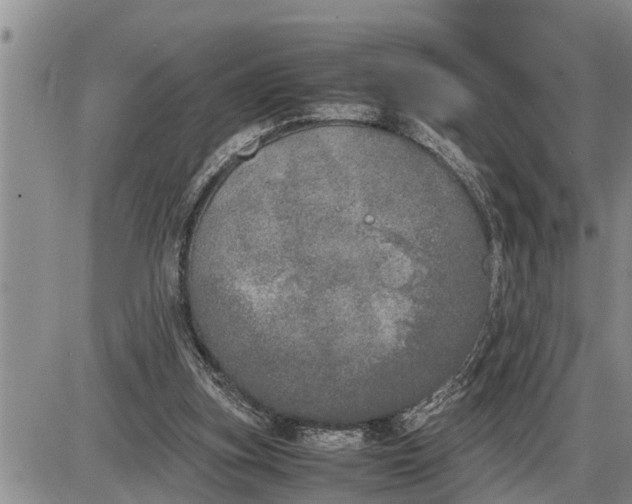 X0000085250155200703231659