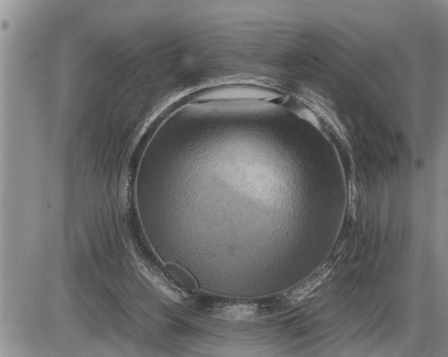 X0000085250156200703231659