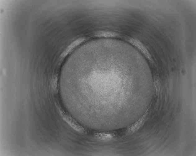 X0000085250159200703231659