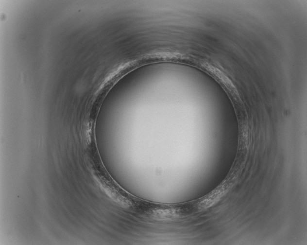 X0000085250160200703231659