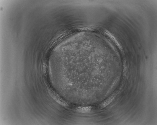 X0000085250161200703231659