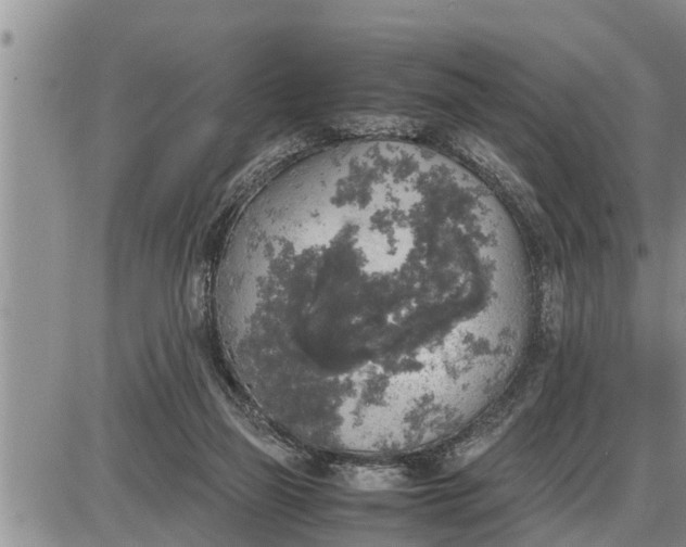 X0000085250165200703231659