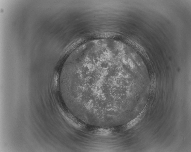 X0000085250166200703231659