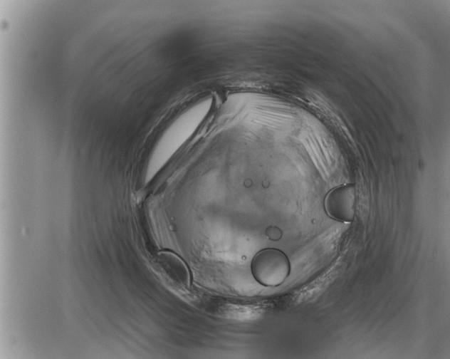 X0000085250167200703231659