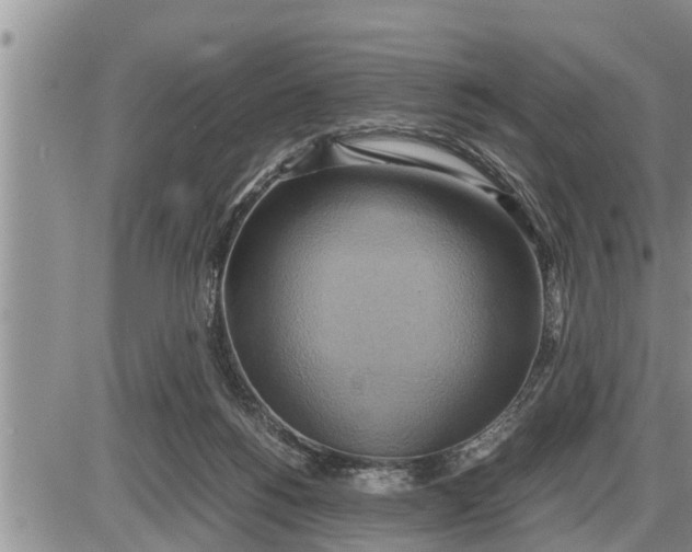 X0000085250168200703231659